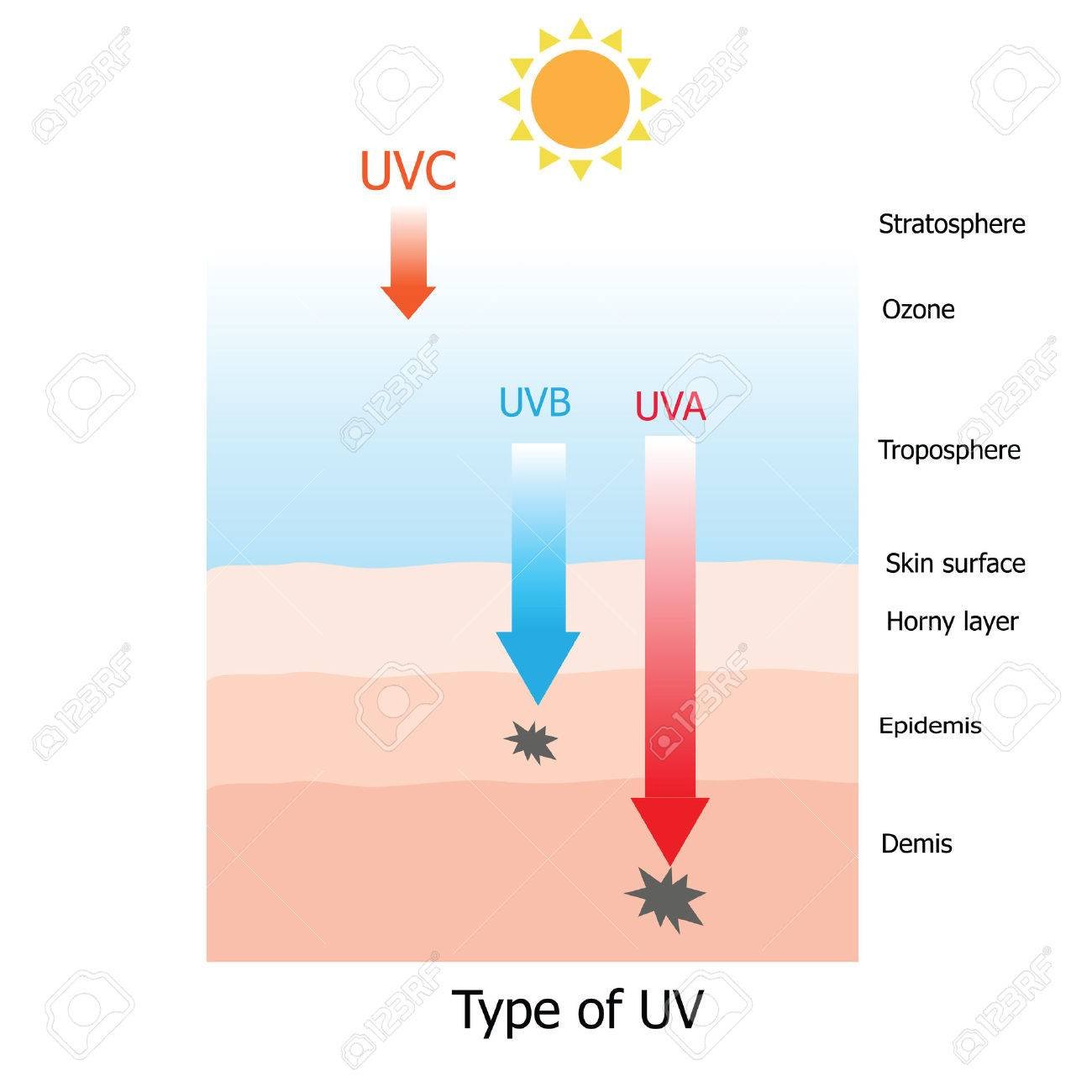 Tipos de radiação UV e sua interação com a pele